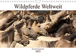 Kalender Wildpferde Weltweit (Wandkalender 2023 DIN A4 quer) von Karolin Heepmann - www.Karo-Fotos.de