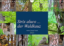 Kalender Strix aluco ... der Waldkauz (Wandkalender 2023 DIN A4 quer) von Andreas Freund