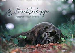 Kalender Charakterköpfe - Herzenshunde im Portrait (Wandkalender 2023 DIN A2 quer) von Saskia Katharina Siebel - Sensiebelfotografie