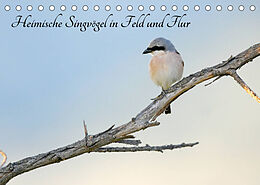 Kalender Heimische Singvögel in Feld und Flur (Tischkalender 2023 DIN A5 quer) von Benny Trapp