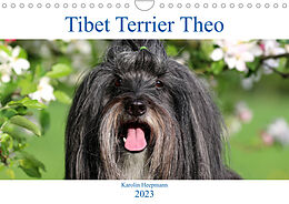 Kalender Tibet Terrier Theo (Wandkalender 2023 DIN A4 quer) von Karolin Heepmann