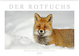Kalender Der Rotfuchs (Wandkalender 2023 DIN A2 quer) von Michael Breuer