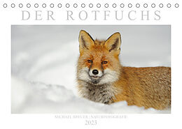 Kalender Der Rotfuchs (Tischkalender 2023 DIN A5 quer) von Michael Breuer