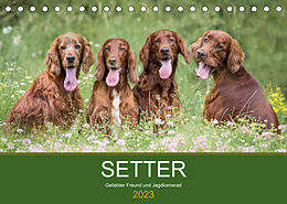 Kalender Setter - Geliebter Freund und Jagdkamerad (Tischkalender 2023 DIN A5 quer) von Andrea Mayer Tierfotografie