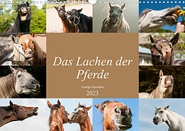Kalender Das Lachen der Pferde - Lustige Gesichter (Wandkalender 2023 DIN A3 quer) von Meike Bölts