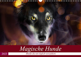 Kalender Magische Hunde - Hunde die uns täglich verzaubern (Wandkalender 2023 DIN A3 quer) von Andrea Mayer Tierfotografie