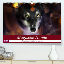Kalender Magische Hunde - Hunde die uns täglich verzaubern (Premium, hochwertiger DIN A2 Wandkalender 2023, Kunstdruck in Hochglanz) von Andrea Mayer Tierfotografie