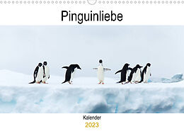 Kalender Pinguinliebe (Wandkalender 2023 DIN A3 quer) von Same