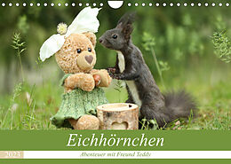 Kalender Eichhörnchen - Abenteuer mit Freund Teddy (Wandkalender 2023 DIN A4 quer) von Birgit Cerny