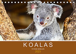 Kalender Koalas, putzige Gesellen (Tischkalender 2023 DIN A5 quer) von Robert Styppa