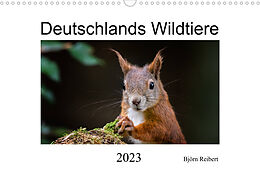 Kalender Deutschlands Wildtiere (Wandkalender 2023 DIN A3 quer) von Björn Reibert