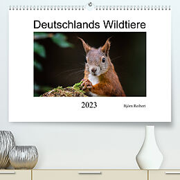 Kalender Deutschlands Wildtiere (Premium, hochwertiger DIN A2 Wandkalender 2023, Kunstdruck in Hochglanz) von Björn Reibert