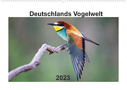 Kalender Deutschlands Vogelwelt (Wandkalender 2023 DIN A2 quer) von Björn Reibert