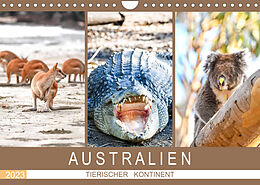 Kalender Australien, tierischer Kontinent (Wandkalender 2023 DIN A4 quer) von ROBERT STYPPA