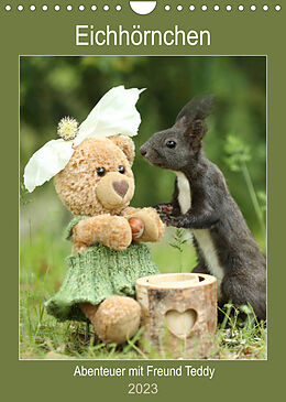 Kalender Eichhörnchen - Abenteuer mit Freund Teddy (Wandkalender 2023 DIN A4 hoch) von Birgit Cerny