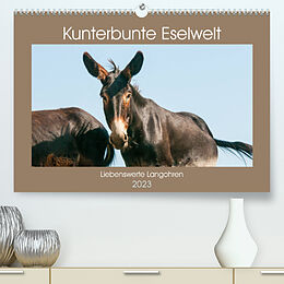 Kalender Kunterbunte Eselwelt - Liebenswerte Langohren (Premium, hochwertiger DIN A2 Wandkalender 2023, Kunstdruck in Hochglanz) von Meike Bölts