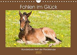 Kalender Fohlen im Glück - Wunderbare Welt der Pferdekinder (Wandkalender 2023 DIN A4 quer) von Meike Bölts