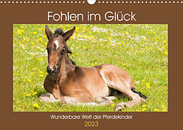Kalender Fohlen im Glück - Wunderbare Welt der Pferdekinder (Wandkalender 2023 DIN A3 quer) von Meike Bölts