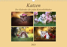 Kalender Katzen - Der Kalender für jeden Katzenliebhaber (Wandkalender 2023 DIN A3 quer) von Janina Bürger