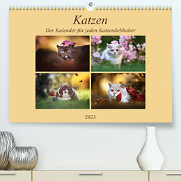 Kalender Katzen - Der Kalender für jeden Katzenliebhaber (Premium, hochwertiger DIN A2 Wandkalender 2023, Kunstdruck in Hochglanz) von Janina Bürger