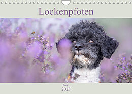 Kalender Lockenpfoten 2023 (Wandkalender 2023 DIN A4 quer) von Sabine Böke-Bergau www.boegau.de