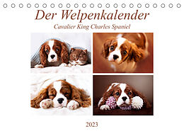 Kalender Der Welpenkalender - Cavalier King Charles Spaniel (Tischkalender 2023 DIN A5 quer) von Janina Bürger