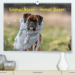 Kalender Einmal Boxer - immer Boxer (Premium, hochwertiger DIN A2 Wandkalender 2023, Kunstdruck in Hochglanz) von Yvonne Janetzek