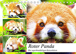 Kalender Roter Panda. Die superknuddeligen Katzenbären (Tischkalender 2023 DIN A5 quer) von Rose Hurley