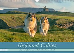 Kalender Highland-Collies - Auf vier Pfoten durch Schottland und Irland (Wandkalender 2023 DIN A3 quer) von Julia Elling