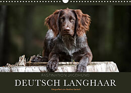 Kalender Faszination Jagdhund - Deutsch Langhaar (Wandkalender 2023 DIN A3 quer) von Nadine Gerlach