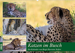 Kalender Katzen im Busch (Wandkalender 2023 DIN A2 quer) von Birgit Harriette Seifert