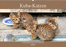 Kalender Kuba-Katzen - Auf Samtpfoten unterwegs in Havanna (Wandkalender 2023 DIN A2 quer) von Henning von Löwis of Menar