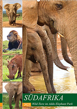 Kalender SÜDAFRIKA Wild-Tiere im Addo Elephant Park (Wandkalender 2023 DIN A2 hoch) von Barbara Fraatz