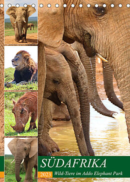 Kalender SÜDAFRIKA Wild-Tiere im Addo Elephant Park (Tischkalender 2023 DIN A5 hoch) von Barbara Fraatz