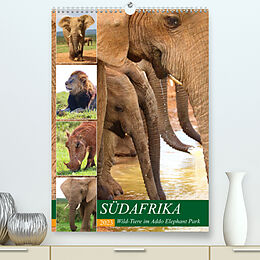 Kalender SÜDAFRIKA Wild-Tiere im Addo Elephant Park (Premium, hochwertiger DIN A2 Wandkalender 2023, Kunstdruck in Hochglanz) von Barbara Fraatz