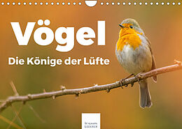 Kalender Vögel - Die Könige der Lüfte (Wandkalender 2023 DIN A4 quer) von Benjamin Lederer