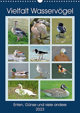 Kalender Vielfalt Wasservögel (Wandkalender 2023 DIN A3 hoch) von Claudia Kleemann
