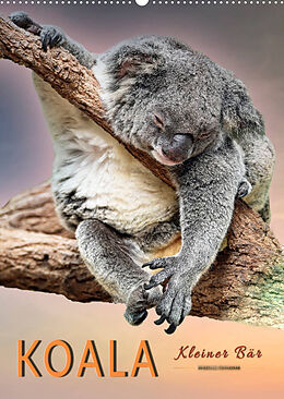 Kalender Koala, kleiner Bär (Wandkalender 2023 DIN A2 hoch) von Peter Roder