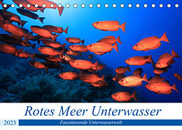 Kalender Rotes Meer Unterwasser (Tischkalender 2023 DIN A5 quer) von Martin Hablützel
