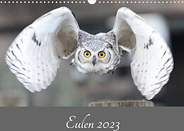 Kalender Eulen 2023 (Wandkalender 2023 DIN A3 quer) von Jürgen Trimbach