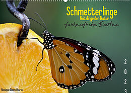 Kalender Schmetterlinge Nützlinge der Natur farbenfrohe Exoten (Wandkalender 2023 DIN A2 quer) von Monique Diesselhorst