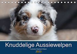 Kalender Australian Shepherd Welpen 2023 (Tischkalender 2023 DIN A5 quer) von Annett Mirsberger www.annettmirsberger.de