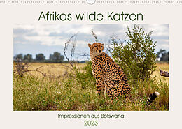 Kalender Afrikas wilde Katzen (Wandkalender 2023 DIN A3 quer) von Ursula Di Chito