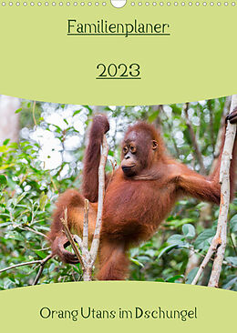 Kalender Familienplaner 2023 - Orang Utans im Dschungel (Wandkalender 2023 DIN A3 hoch) von Daniel Heiss Photography