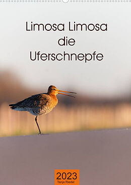 Kalender Limosa Limosa die Uferschnepfe (Wandkalender 2023 DIN A2 hoch) von Tanja Riedel