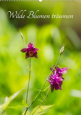Kalender Wilde Blumen träumen (Wandkalender 2023 DIN A2 hoch) von © Clemens Stenner