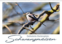 Kalender Gefiederte Gartengäste, Schwanzmeisen (Wandkalender 2023 DIN A3 quer) von N N