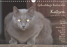 Kalender Geburtstags-Kalender Katzen... rund um den Globus (Wandkalender 2023 DIN A4 quer) von Wolfgang Rech