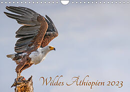 Kalender Wildes Äthiopien (Wandkalender 2023 DIN A4 quer) von Rolf Hecker