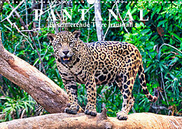 Kalender Pantanal: Faszinierende Tiere hautnah (Wandkalender 2023 DIN A3 quer) von Michael Kurz
